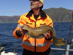Norwegen 2008 Rundereim